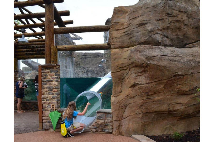 Akron Zoo Dixon Studios, LLC