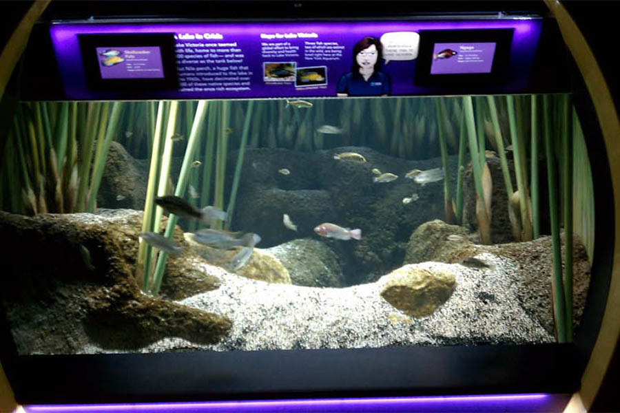 New York Aquarium - New4